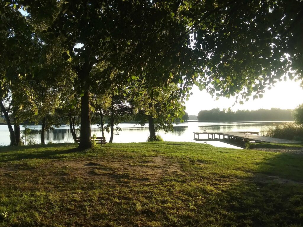 161730875 124672329597570 8538078517366906441 n