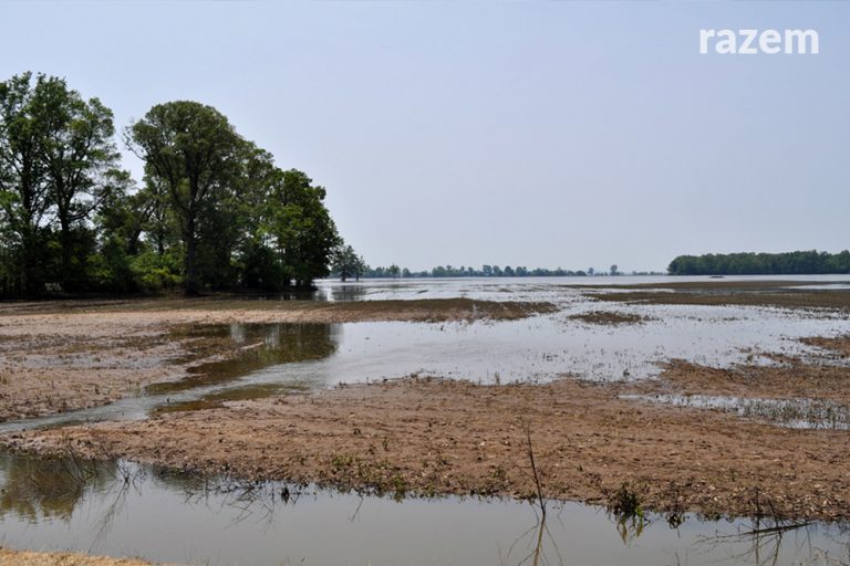 Interpelacja w&nbsp;sprawie zalanych pól i&nbsp;łąk w&nbsp;gminie Łęczyca w&nbsp;dorzeczu Bzury