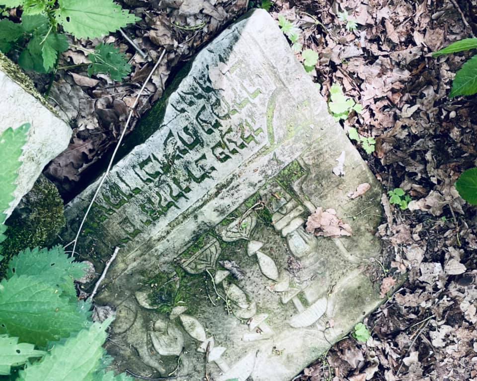 190949481 209952984290327 5808591512146002351 n