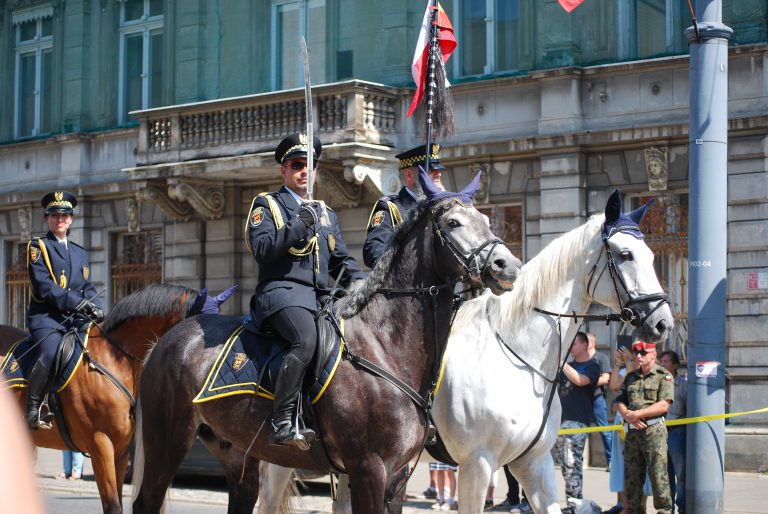 Obchody Święta Wojska Polskiego w&nbsp;województwie