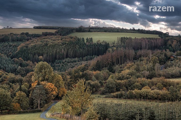 Borchówka w&nbsp;gminie Nowosolna i&nbsp;kontrowersyjna inwestycja. Jest odpowiedź wójta