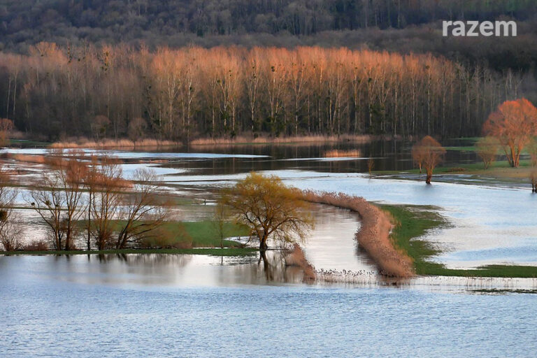 Podstawy prawa —&nbsp;co&nbsp;trzeba wiedzieć. Stany nadzwyczajne 