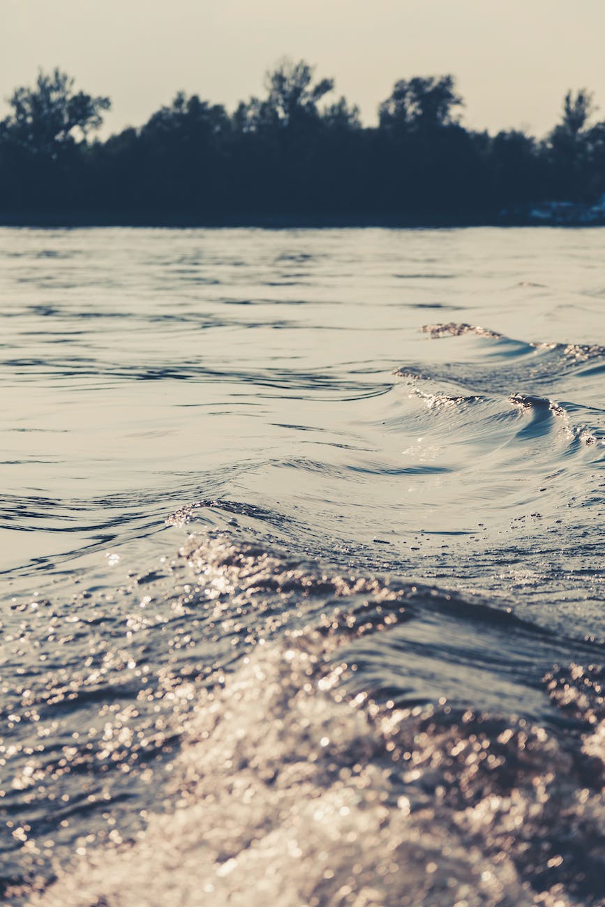 shallow focus photography of ocean wave