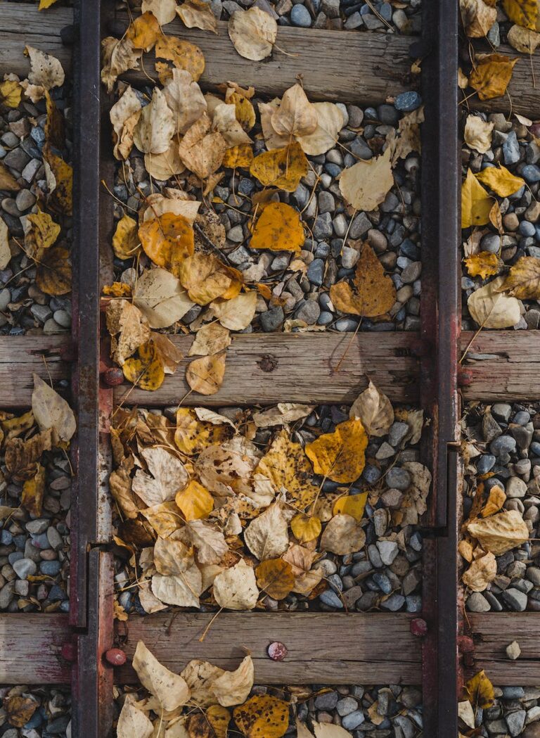 old wooden and rusted trails with gravel and yellow leaves