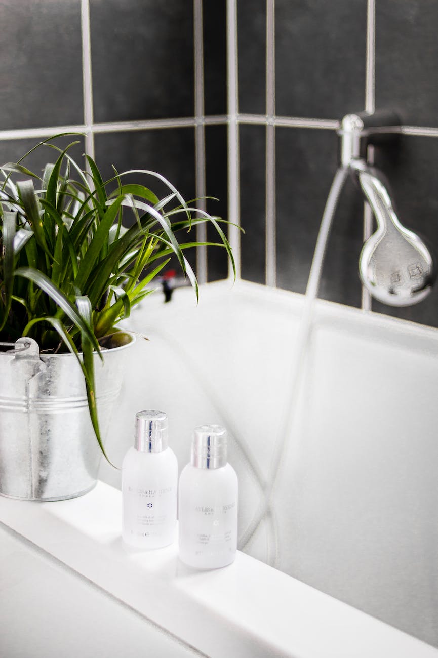 two white bottles beside potted plant on bathtub