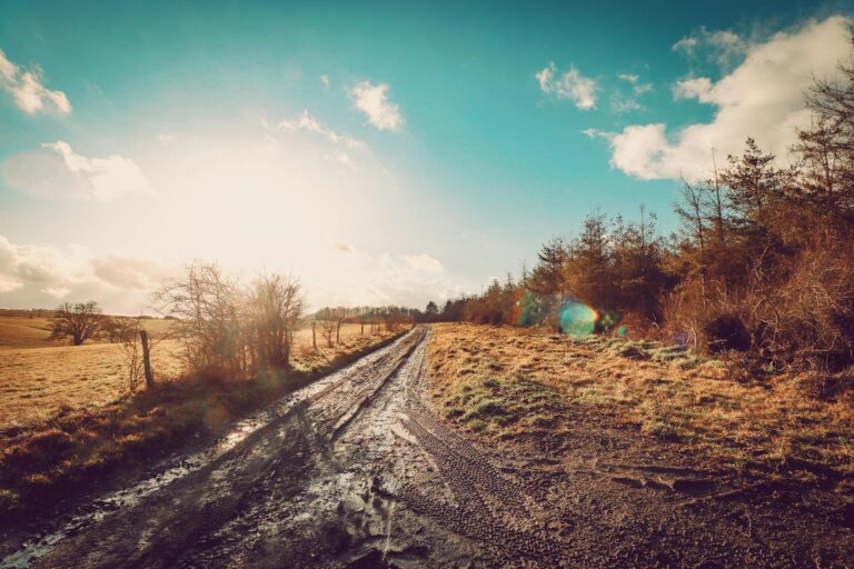 dirt road during daytime