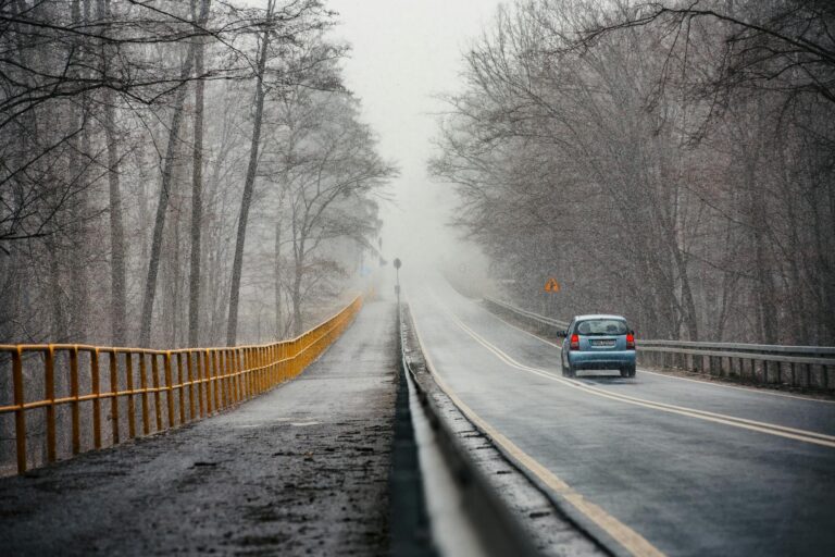 car on road in forest