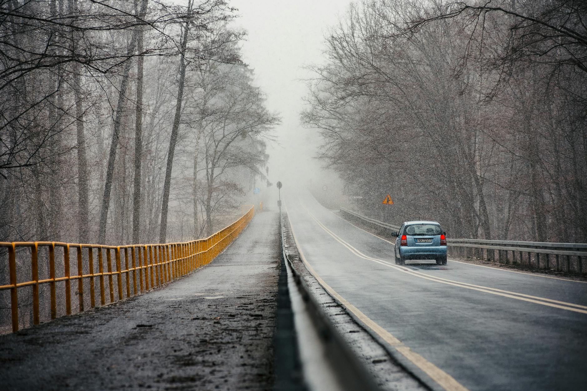 car on road in forest