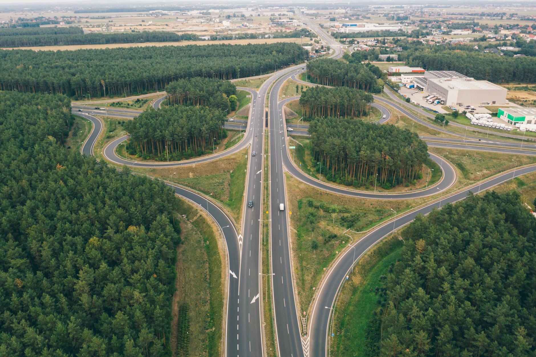 green leafed trees and gray concrete roads