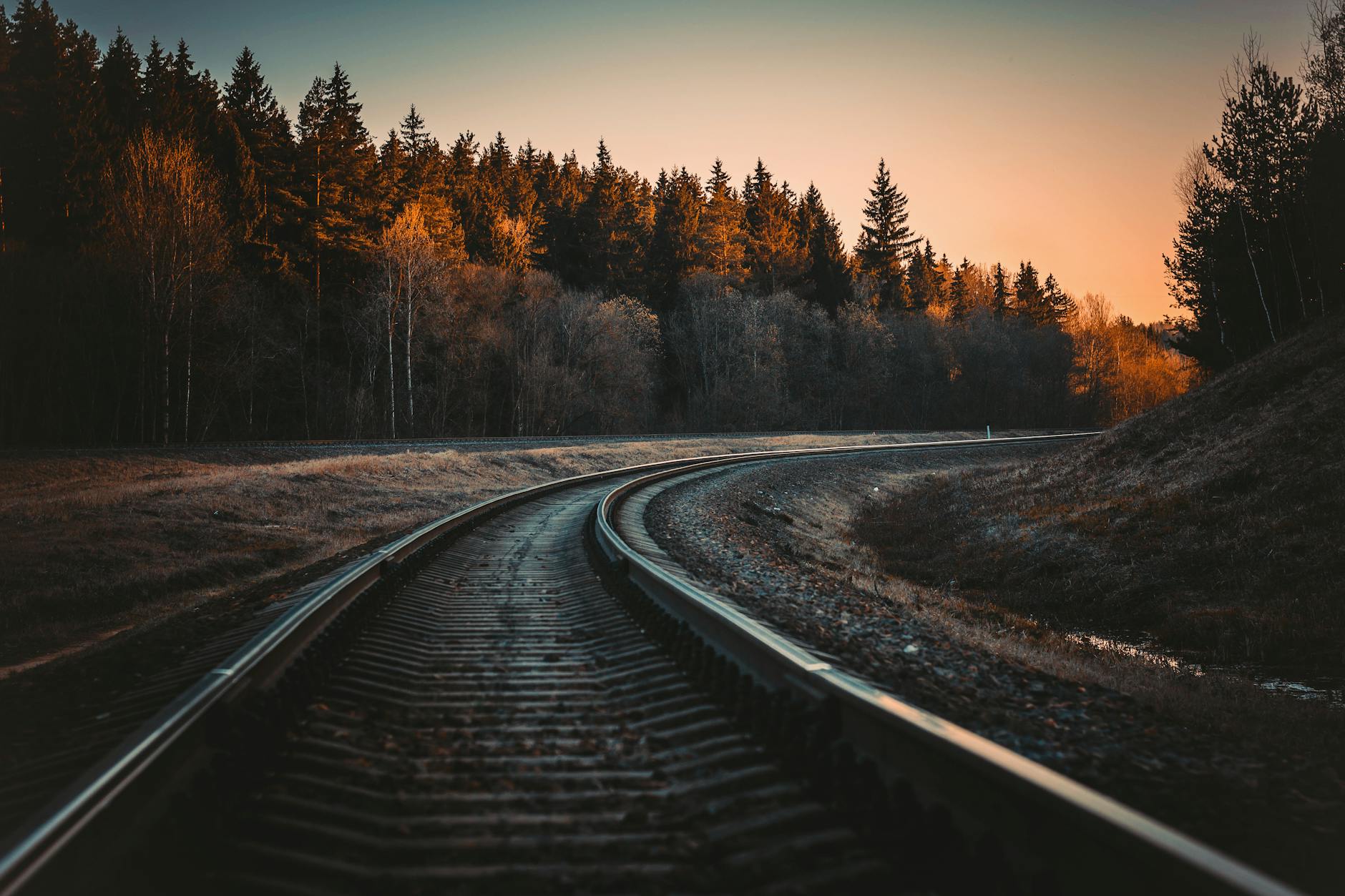 train rail during golden hour