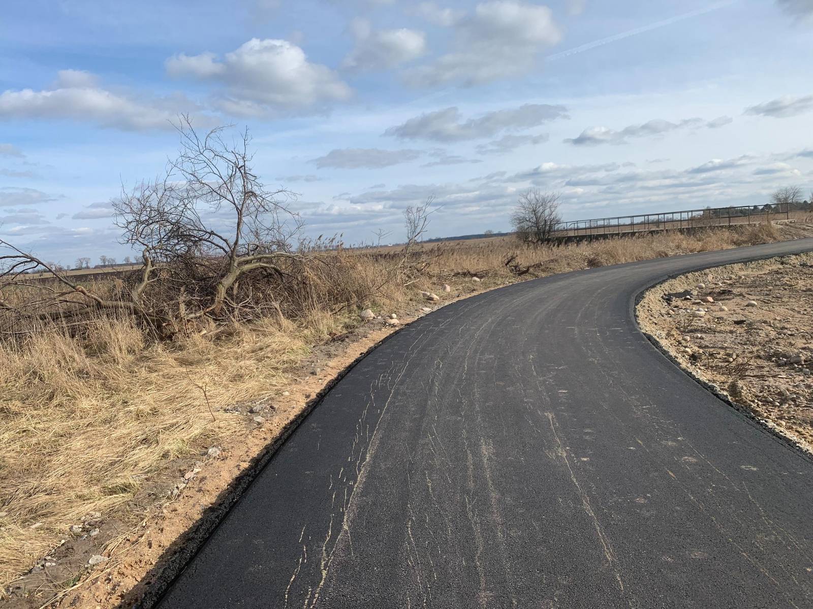 leczyca pierscien ksieznej