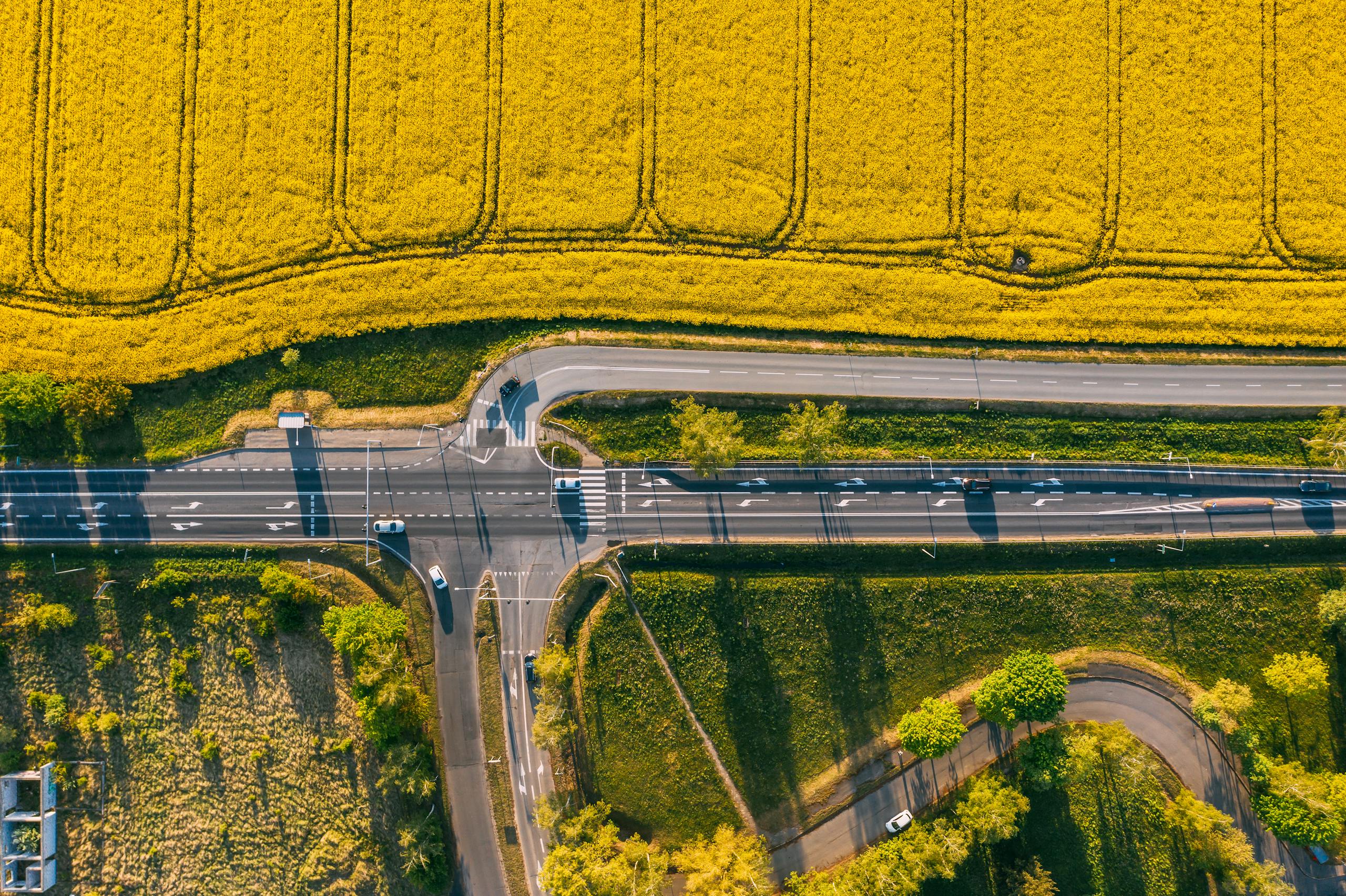 Stunning aerial view of a rural road crossing fields in Poznań, Poland.