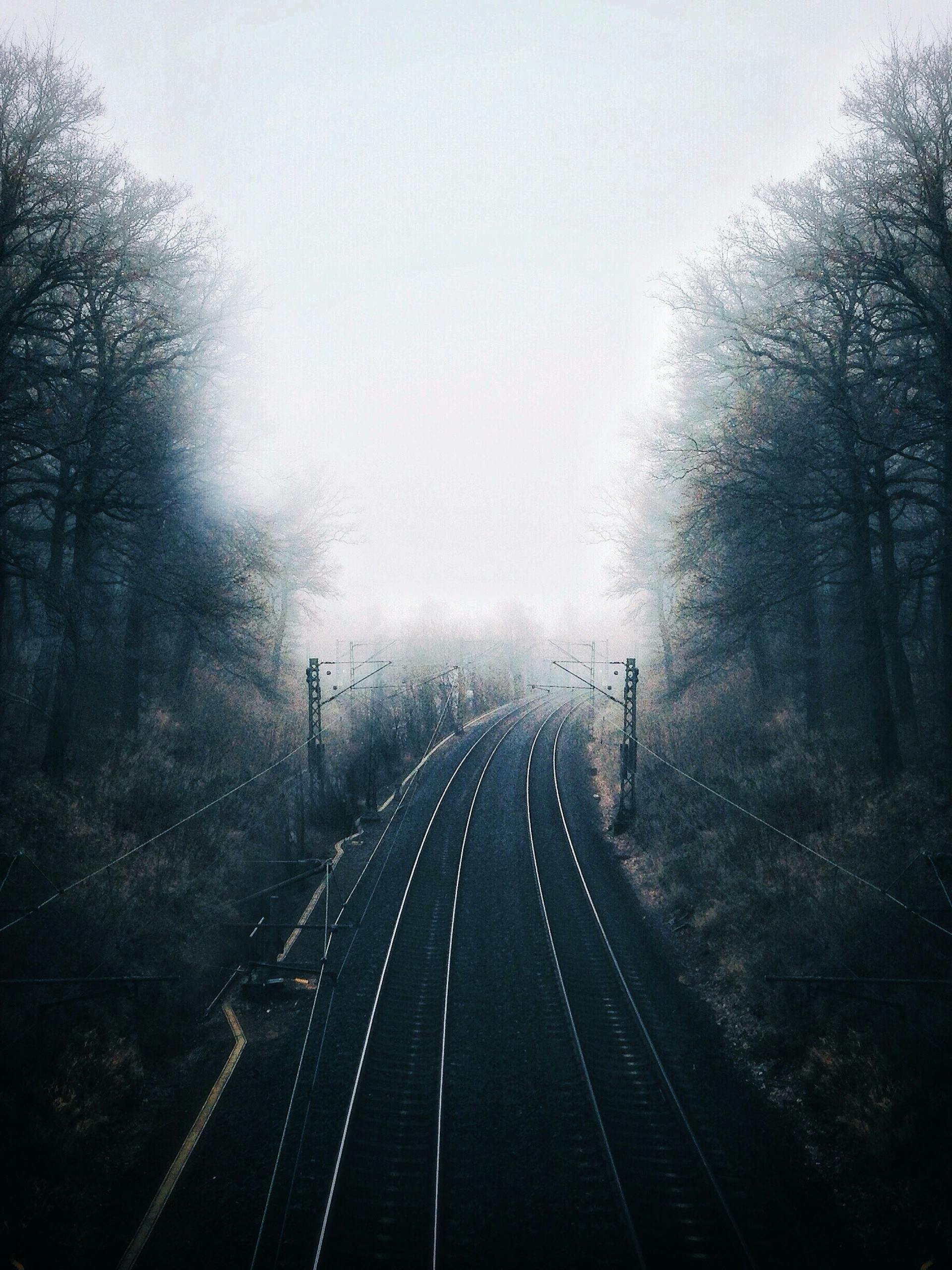 A foggy railway cutting through bare winter trees, creating a sense of solitude and tranquility.